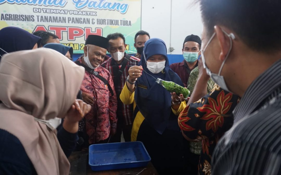 “TANAMAN HIAS – MENUJU KEMANDIRIAN PETANI”