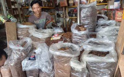 MTCC Unimma menjadi Enumerator Price Monitoring Suvey